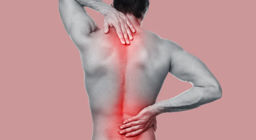 Spinal Cord Injury Rehabilitation