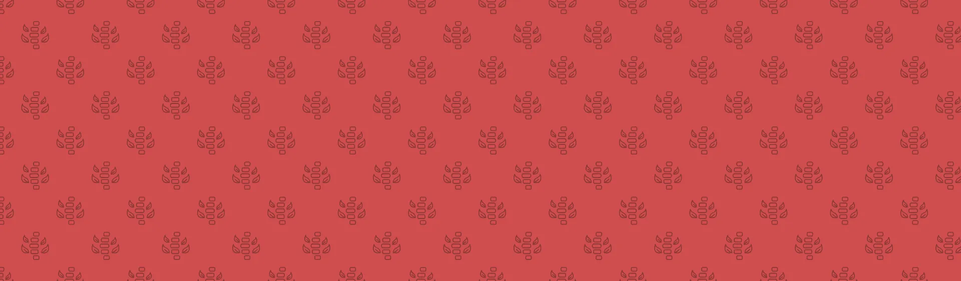 Physiotherapy at Rapharehab