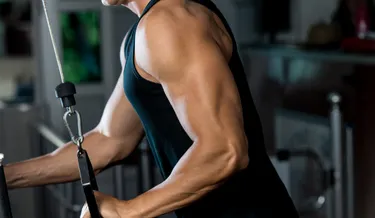 Biceps, Triceps & Back Workouts: Safe Tips from Rapharehab for Stronger Upper Body