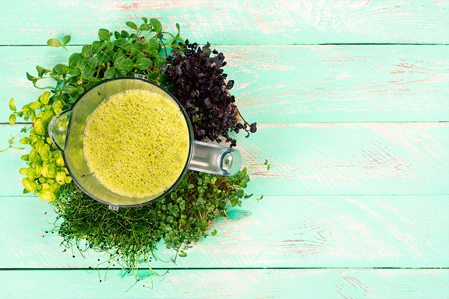 naturopathy-service Naturopathy | Rapharehab